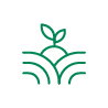 Agricultura Regenerativa