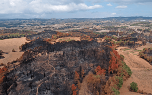 Imatge drone incendi conreus - Lluis Brotons Imatge drone incendi conreus - Lluis Brotons